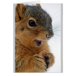 Cartão Esquilo mais feliz do mundo