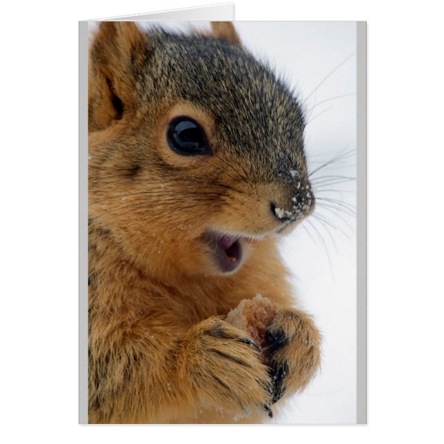 Cartão Esquilo mais feliz do mundo (Frente)