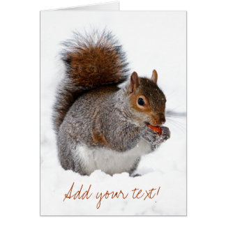 Cartão Esquilo na neve