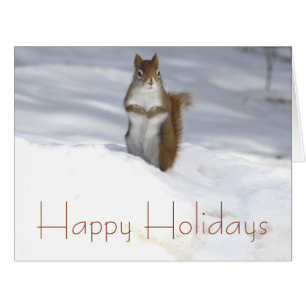 Cartão Esquilo na neve