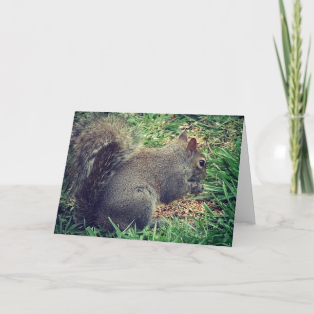 Cartão Esquilo na Sementes de Aves (Frente)