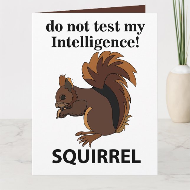 Cartão Esquilo Não Teste Meu Esquilo De Inteligência (Frente)