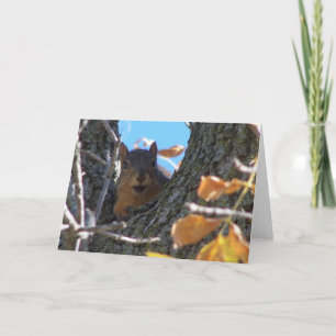Cartão Esquilo Notecard