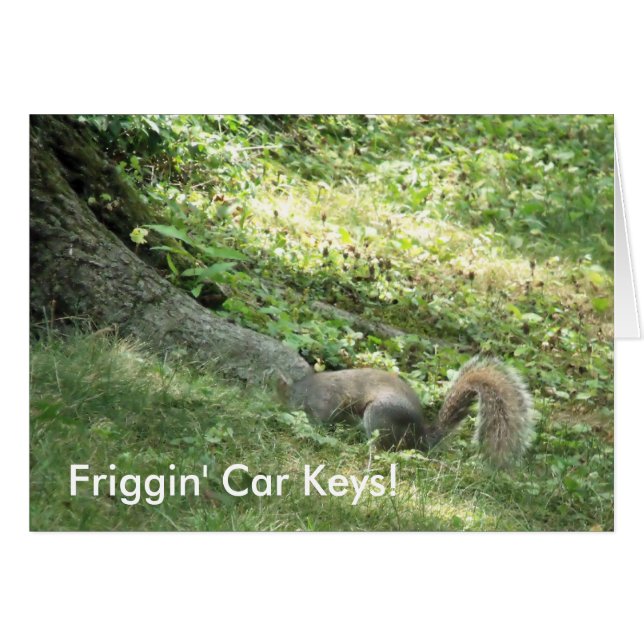 Cartão Esquilo procurando chaves de carro (Frente Horizontal)