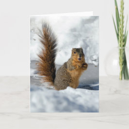 Cartão Esquilo Surpreso