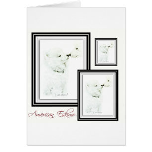 Cartão Esquimó americano