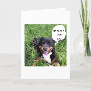 CARTÃO ESSE CÃO FALANTE DIZ AU AU - AMO VOCÊ-ANIVERSÁRIO