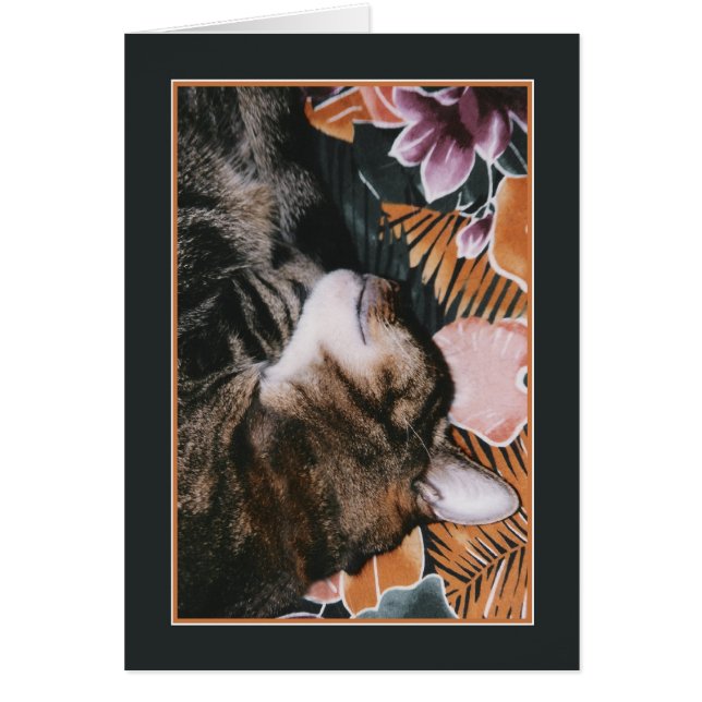 Cartão Esse gato sabe dormir! (Frente)