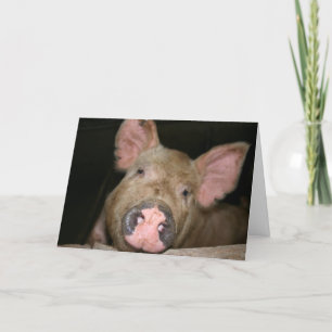 Cartão Esse Porquinho Diz Fique Bem