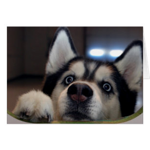 Cartão Está qualquer um para fora lá