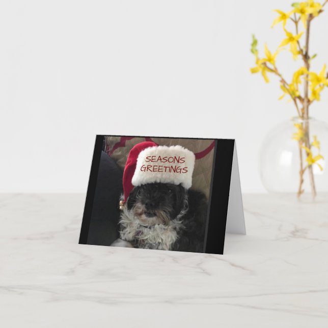 CARTÃO *ESTAÇÕES SUPERIORES* NA PLACA DE MILHÕES (Flor Amarela)