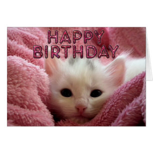 Cartão Estada adorável do gatinho morna