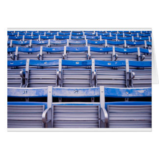 Cartão Estádio vazio