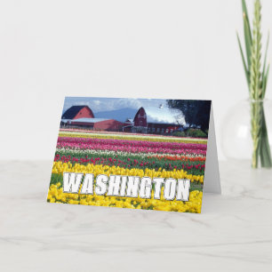 Cartão Estado de Washington Campo de Tulipas Feliz An