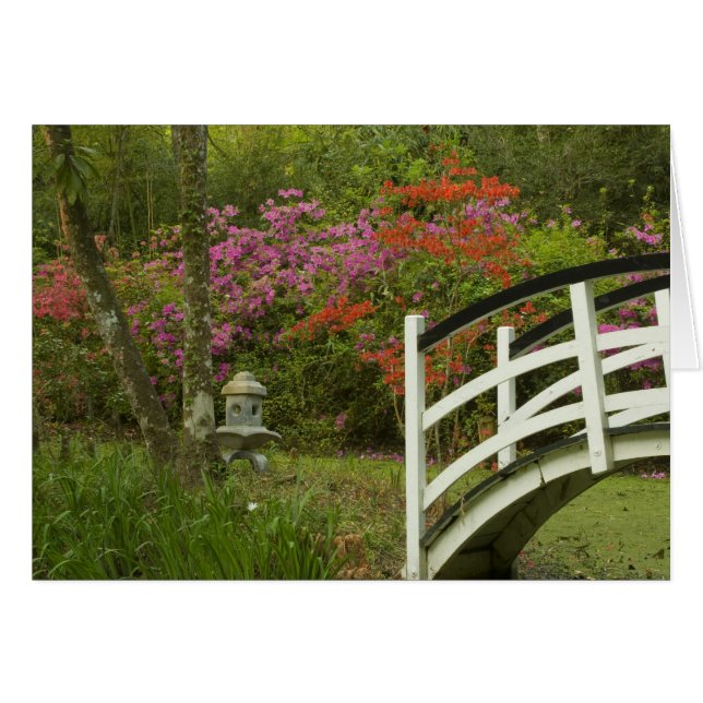 Cartão Estados Unidos; Carolina do Sul; Charleston; 5 (Frente Horizontal)