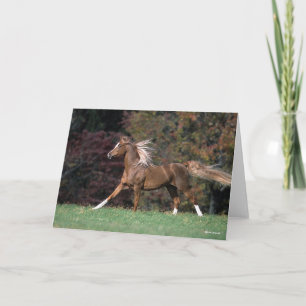 Cartão Estalão Árabe Correndo Mané E Cauda Fluindo