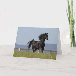 Cartão Estalão Árabe Negro Correndo Mão Fluindo