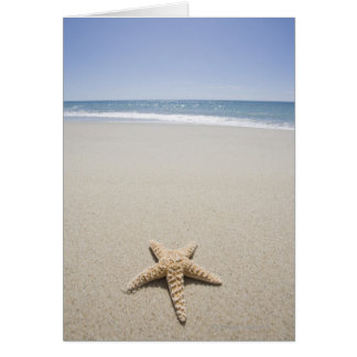 Cartão Estaleiro na praia pelo Oceano Atlântico