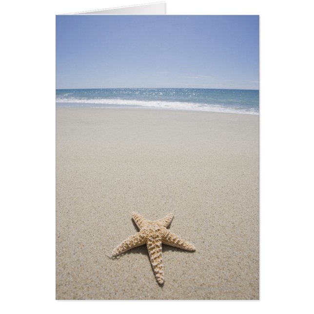 Cartão Estaleiro na praia pelo Oceano Atlântico (Frente)