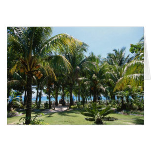 Cartão Estância de Verão