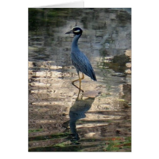 Cartão Estar ao redor