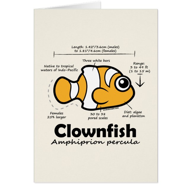 Cartão Estatísticas de Clownfish (Frente)