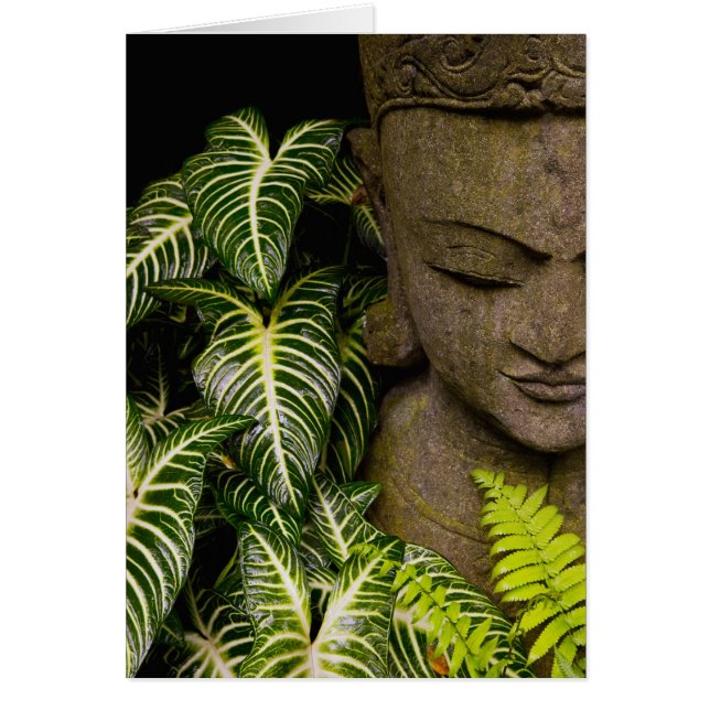 Cartão Estátua em um Jardim Informações de Localização: M (Frente)