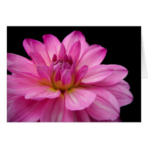 Cartão Estatueta da dália