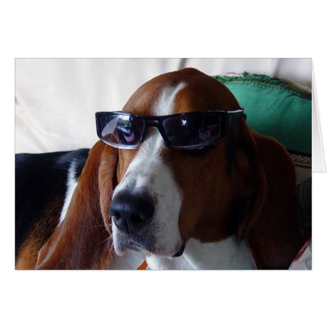Cartão Este cão de caça é um kool kat (Frente Horizontal)