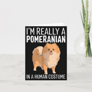 Cartão Este É Um Custo Humano Um Cão Pomerânia No Hallowe