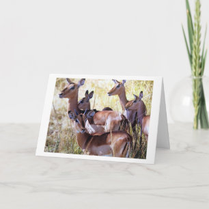 CARTÃO ESTE GRUPO DE CERVEJA ENVIOU-LHE OS DESEJOS DE ANI