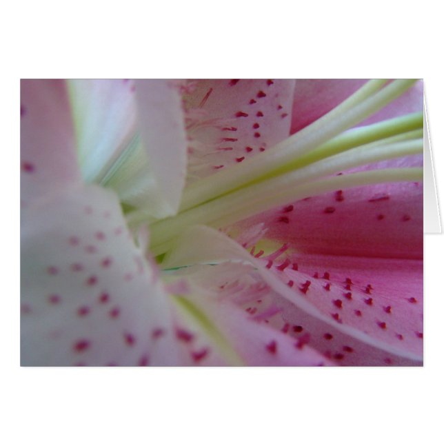 Cartão Estender (Frente Horizontal)