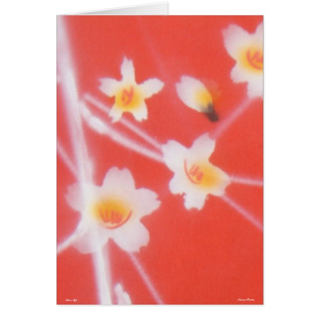 Cartão Estilo Asiático - Cartão- (Frente)