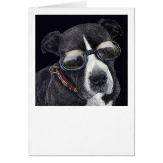 Cartão "Estilo" - Combinação de Bully