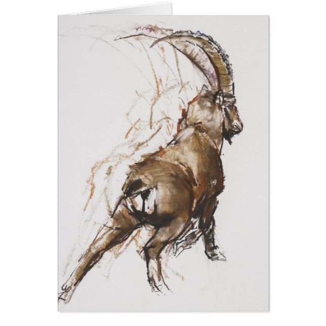 Cartão Estiramento do pé (Frente)