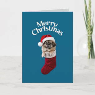 Cartão Estoque de Natal em Pekinês