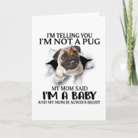 Estou Dizendo Que Não Sou Um Pug Sou Um Amante de 
