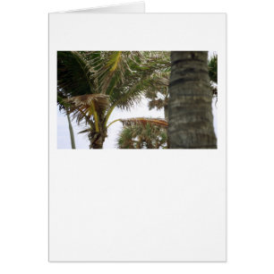 Cartão Estou na Ilha Time!