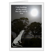 Estou olhando para a lua