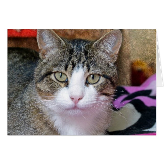 Cartão Estou pensando. (Frente Horizontal)