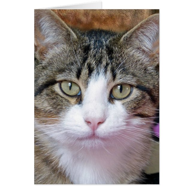 Cartão Estou pensando. (Frente)