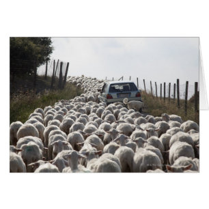 Cartão estrada da terra de Toscânia, carro obstruído pe