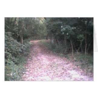 Cartão estrada da vida