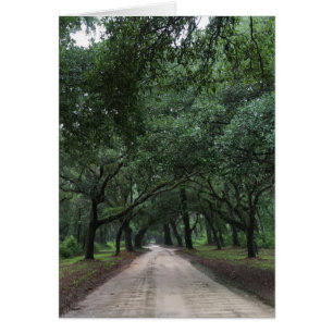 Cartão estrada de segurança