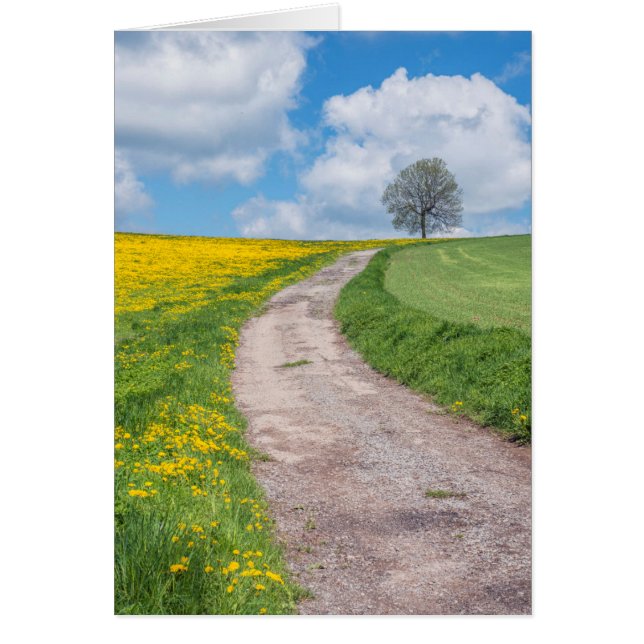 Cartão Estrada de Terra e Árvore (Frente)