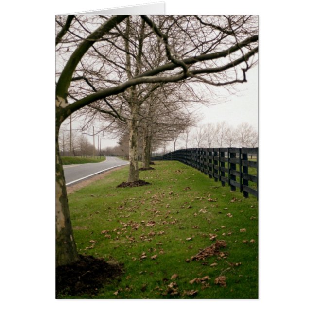 Cartão Estrada do País (Frente)