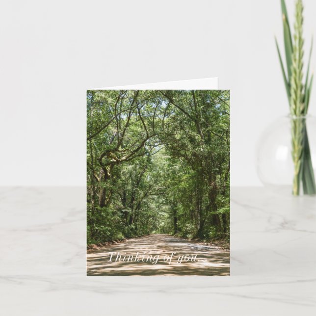 Cartão Estrada Para Angel Oak Pensando Em Você (Frente)