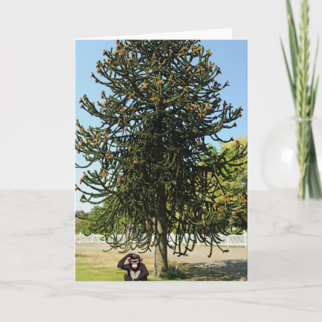 Cartão Estranho o suficiente para confundir um macaco. (Frente)