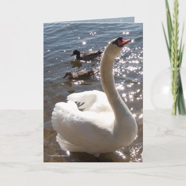 Cartão Estrela de brilho (Frente)