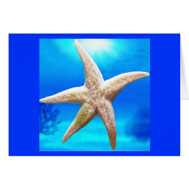 Cartão Estrela de brilho (Frente Horizontal)